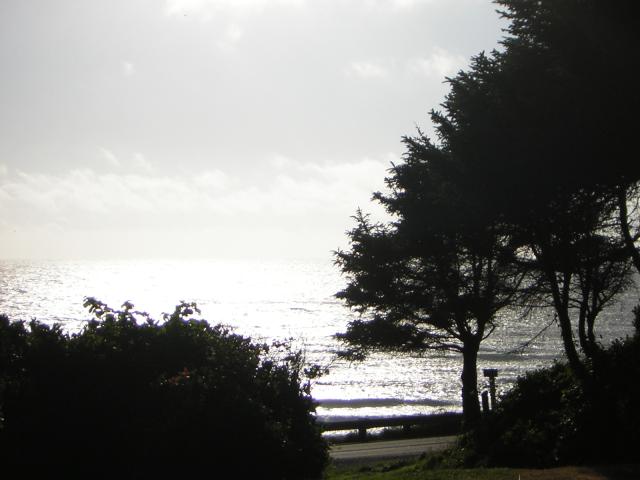 DSCN2329.jpg