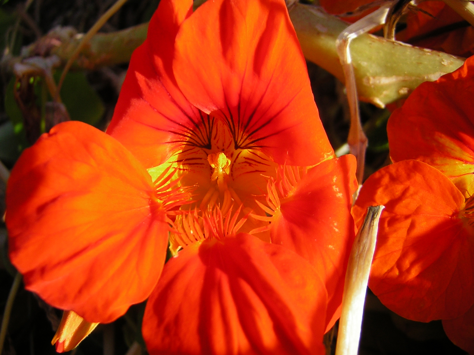 DSCN2331.jpg