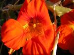 DSCN2331.jpg