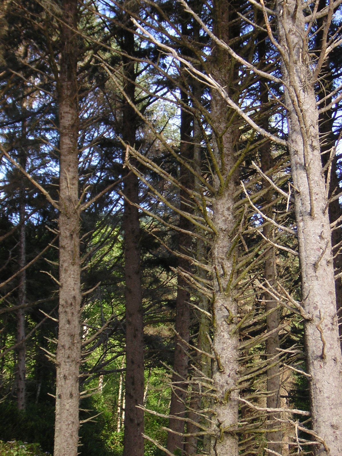 DSCN2334.jpg
