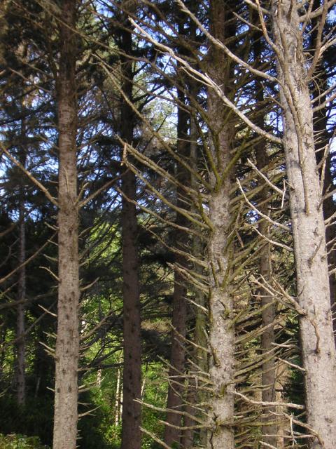 DSCN2334.jpg