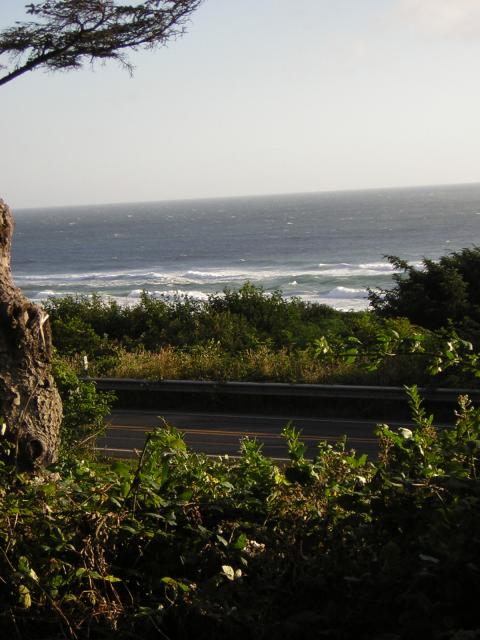 DSCN2335.jpg