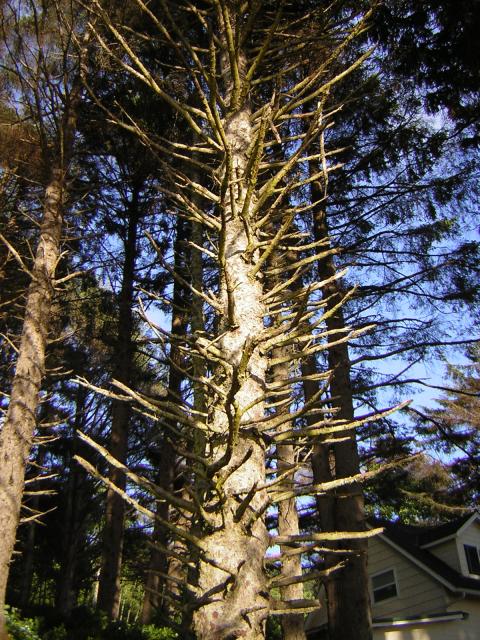 DSCN2337.jpg