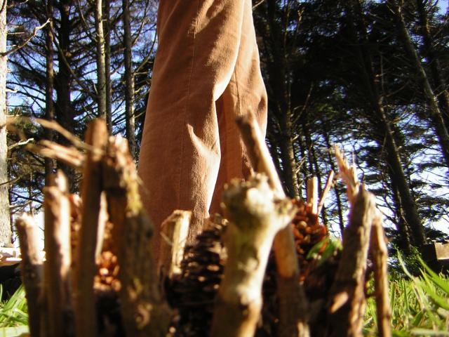 DSCN2341.jpg