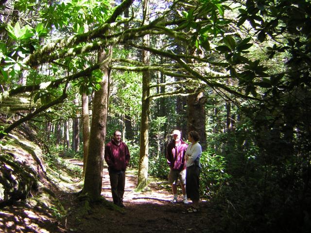 DSCN2377.jpg