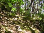 DSCN2378.jpg