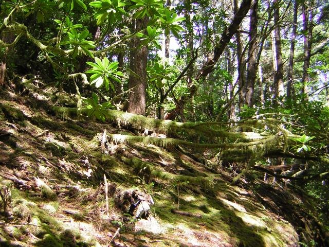 DSCN2378.jpg