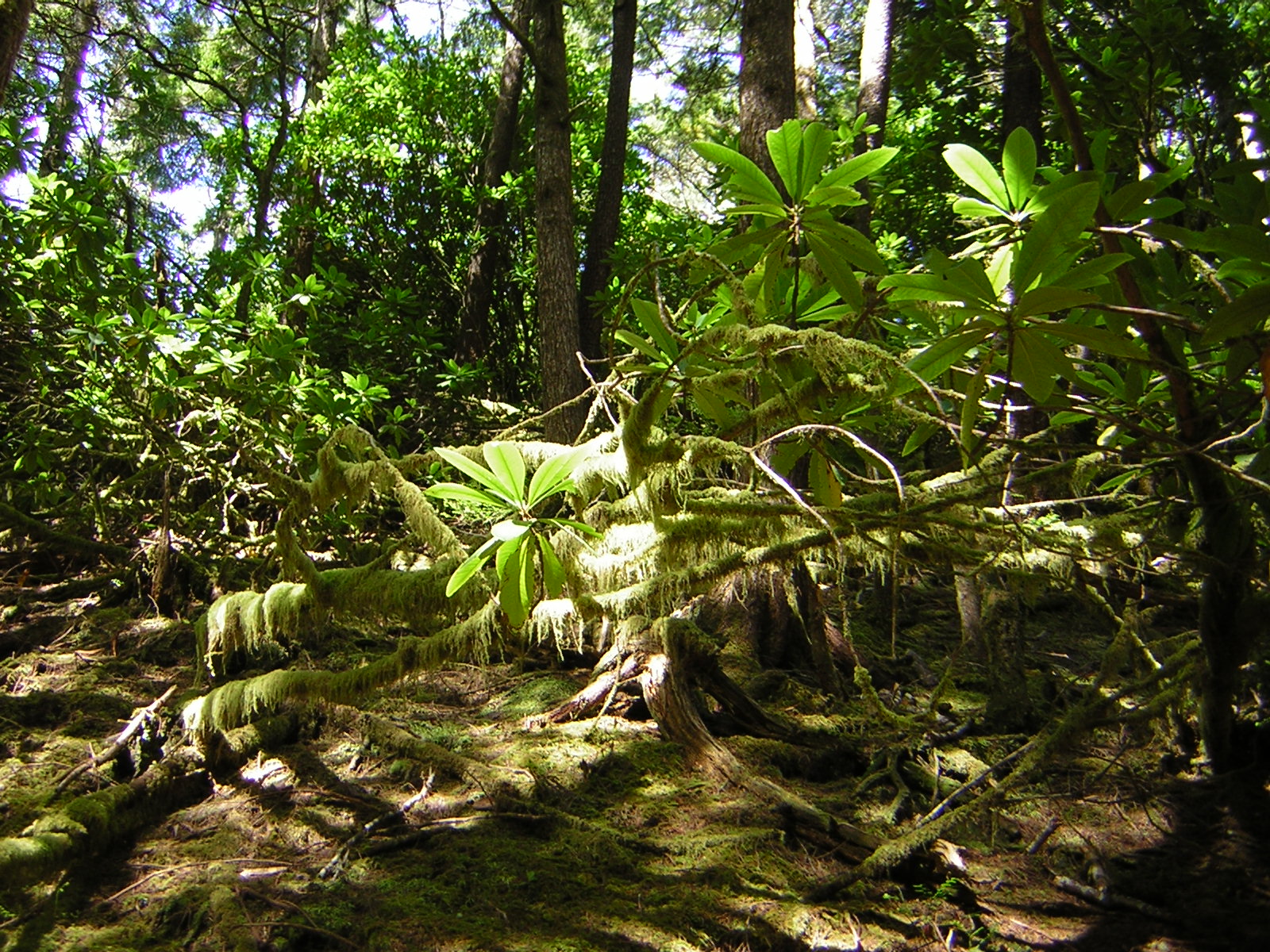 DSCN2379.jpg
