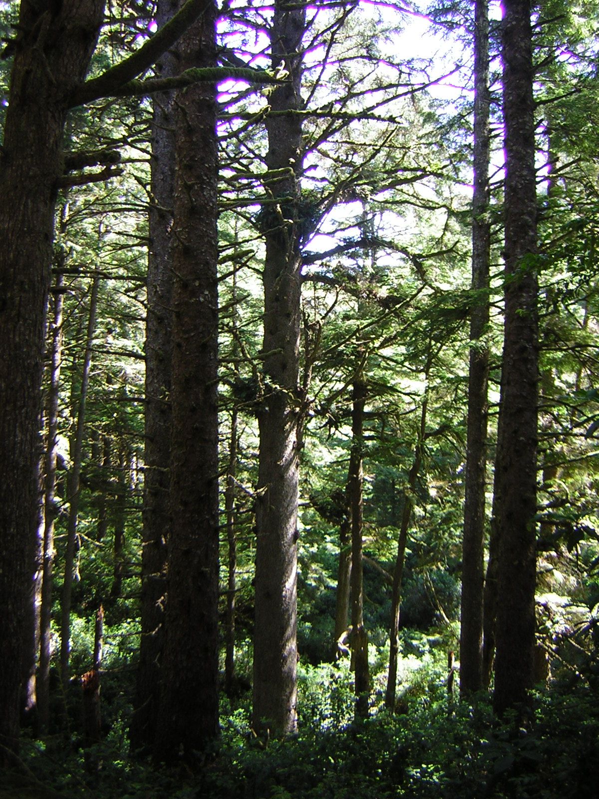 DSCN2380.jpg