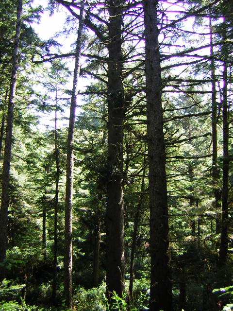 DSCN2381.jpg