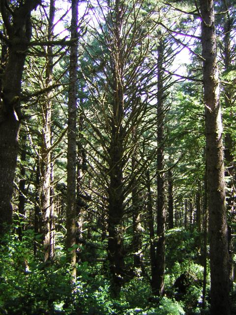 DSCN2382.jpg