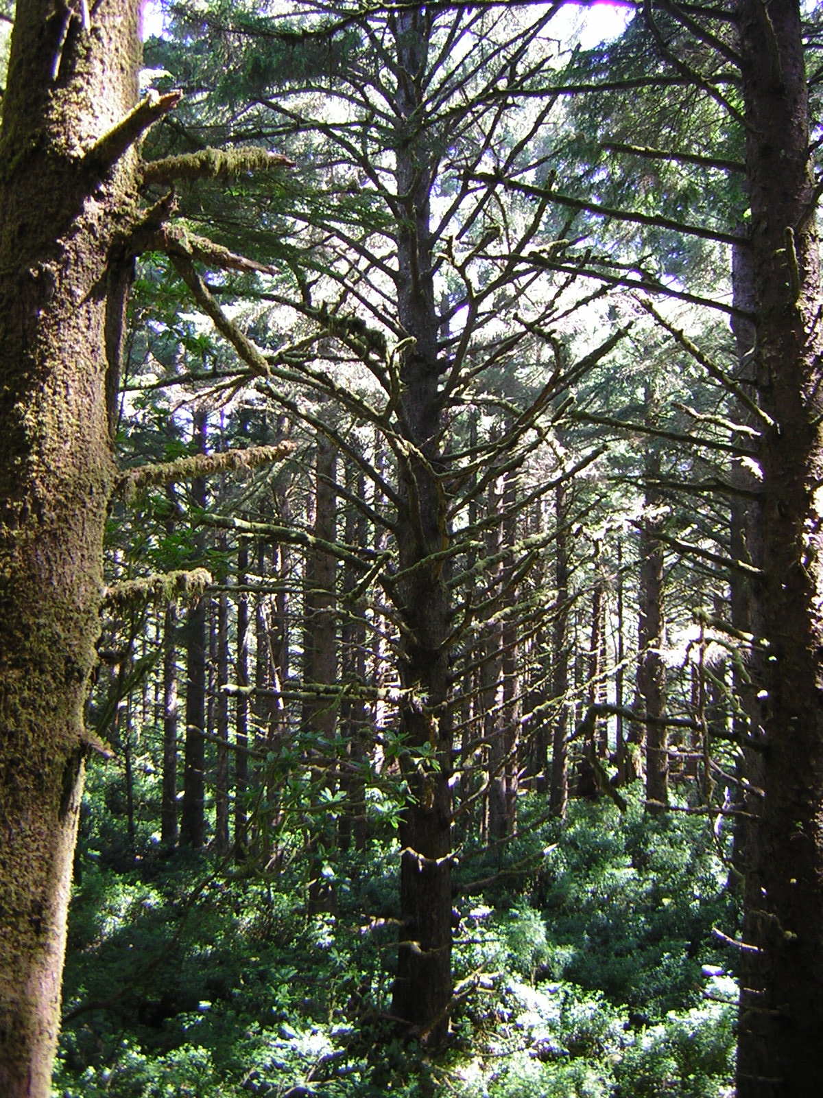 DSCN2383.jpg