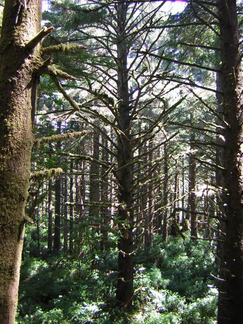 DSCN2383.jpg