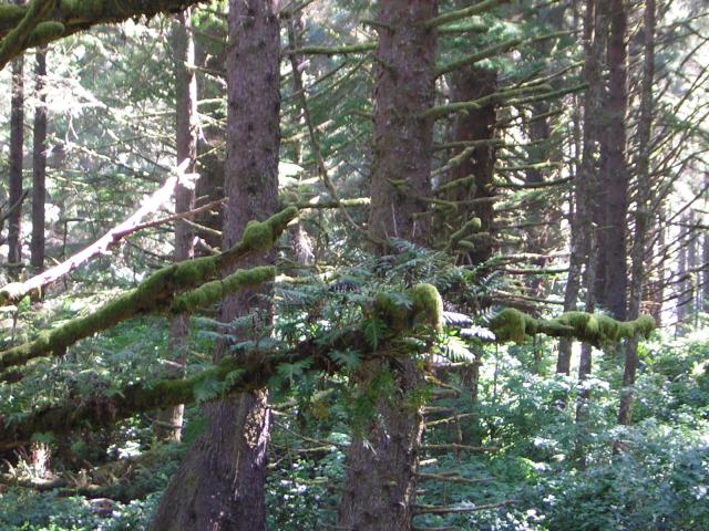 DSCN2384.jpg