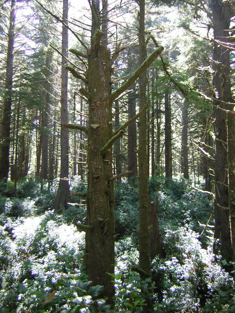 DSCN2386.jpg