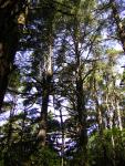 DSCN2388.jpg