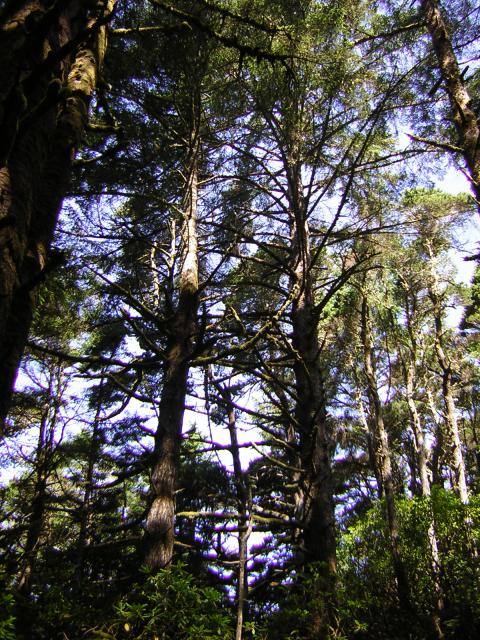 DSCN2388.jpg