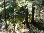 DSCN2389.jpg