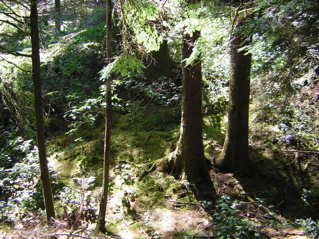 DSCN2389.jpg