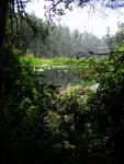 DSCN2390.jpg