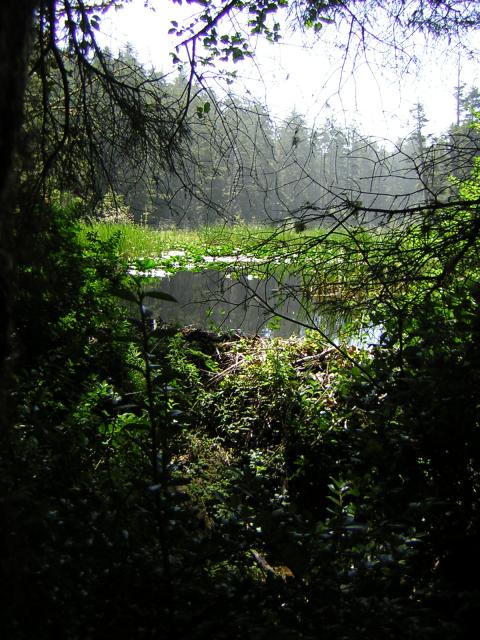 DSCN2390.jpg