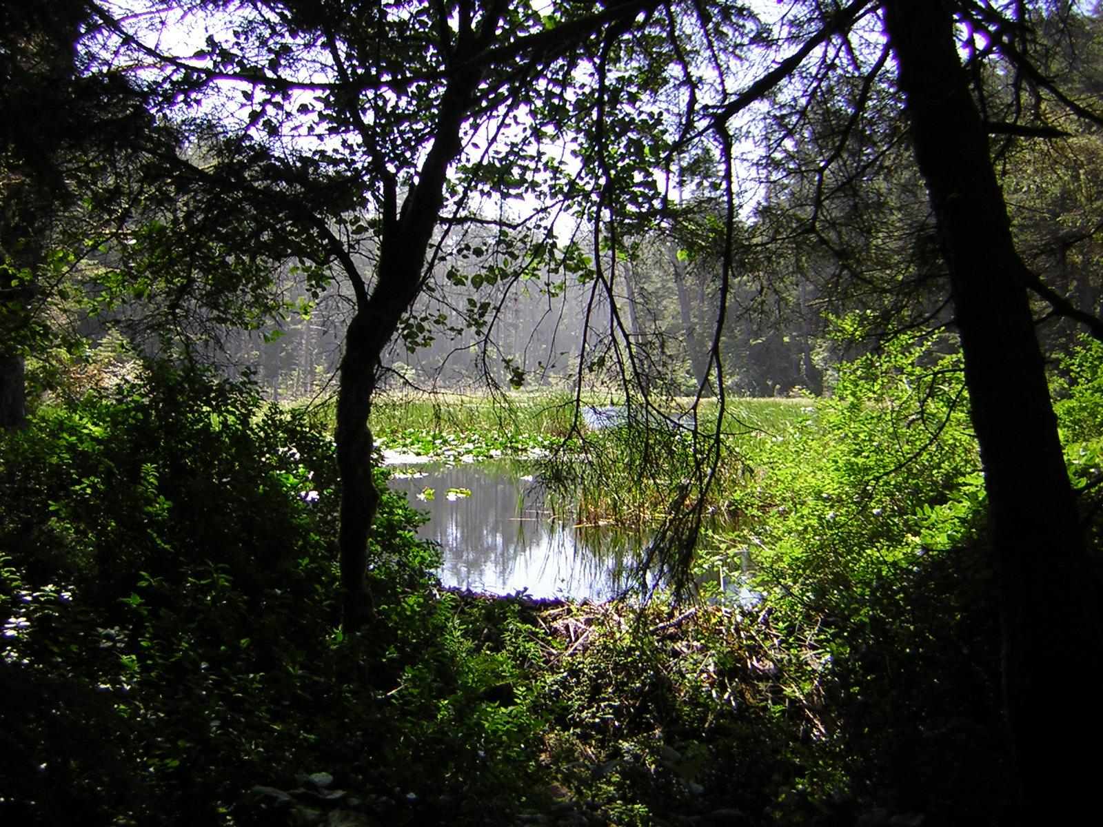 DSCN2392.jpg
