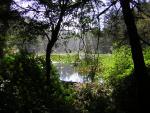 DSCN2392.jpg