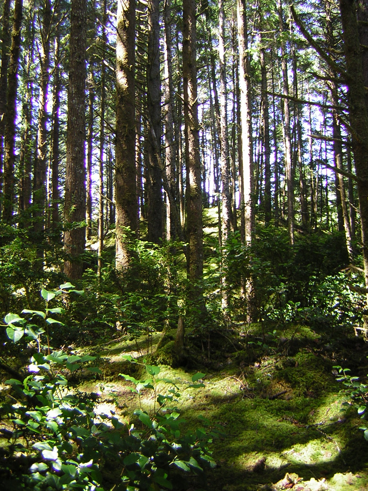 DSCN2393.jpg
