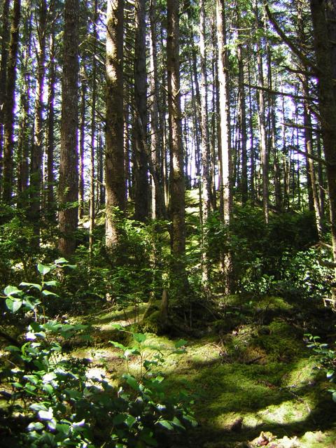 DSCN2393.jpg