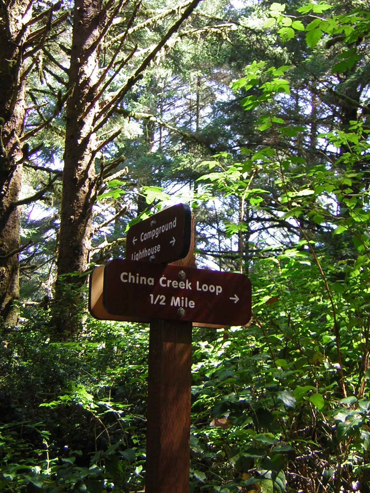DSCN2399.jpg