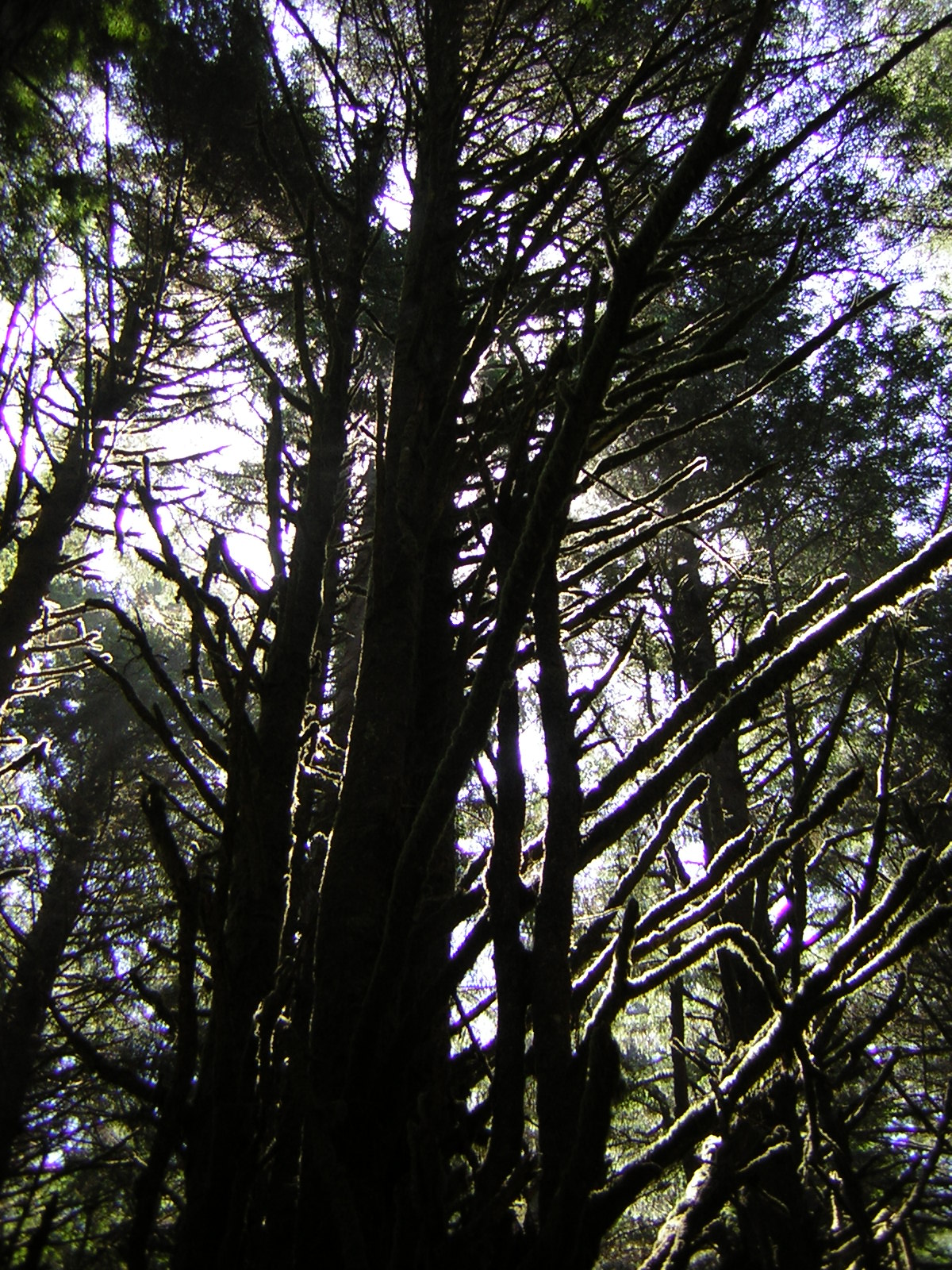 DSCN2400.jpg