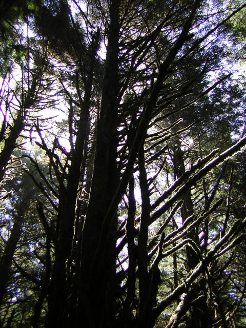 DSCN2400.jpg