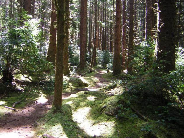 DSCN2402.jpg