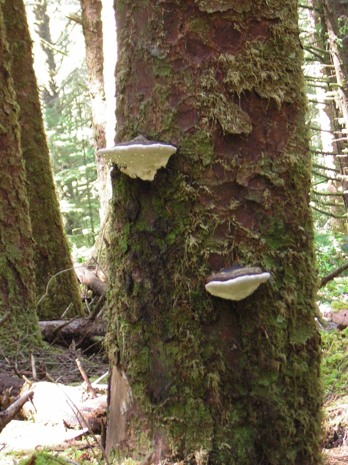 DSCN2404.jpg