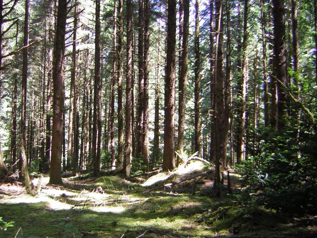 DSCN2405.jpg