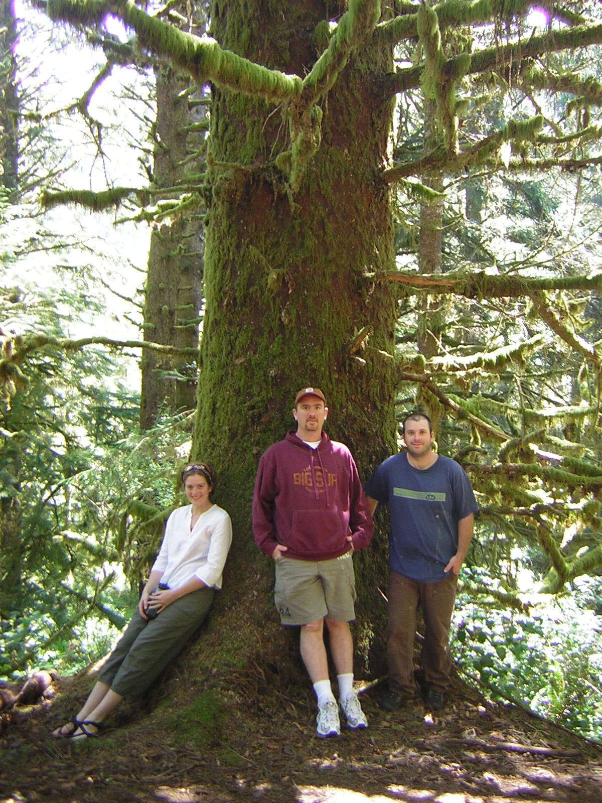 DSCN2406.jpg