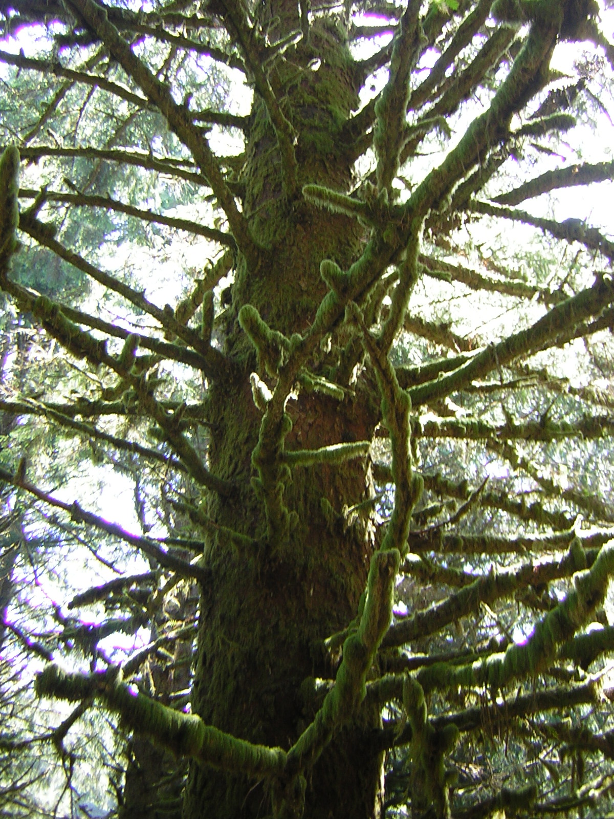 DSCN2407.jpg