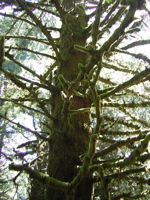 DSCN2407.jpg