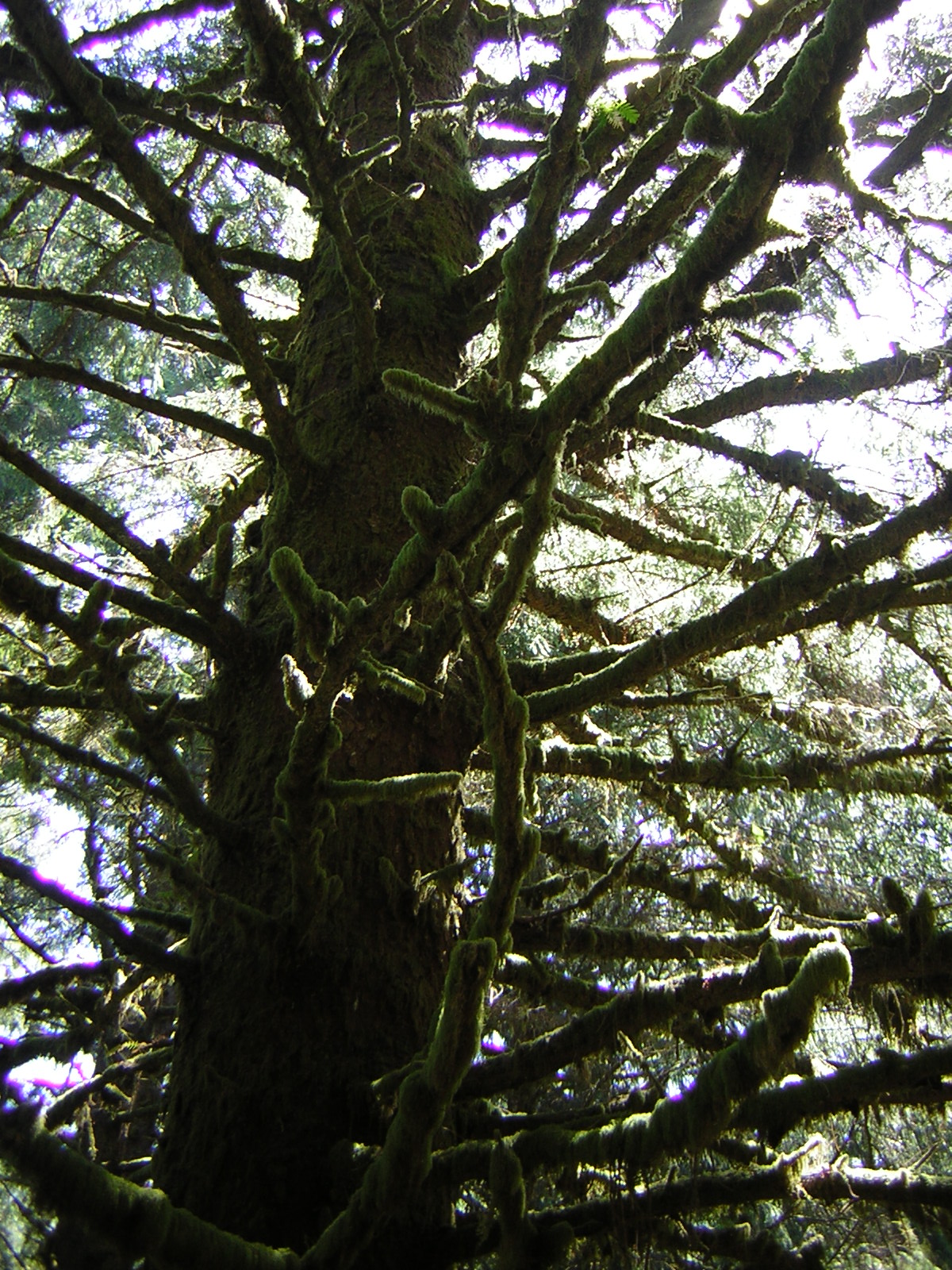 DSCN2408.jpg