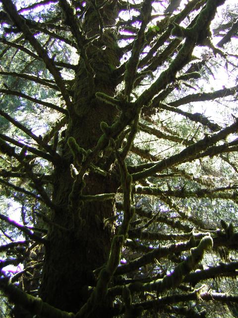DSCN2408.jpg