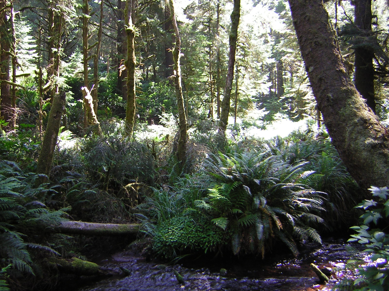 DSCN2412.jpg