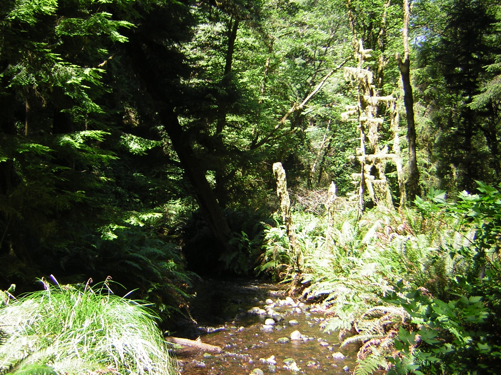 DSCN2413.jpg