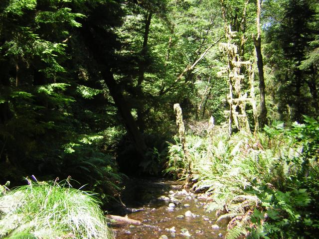 DSCN2413.jpg