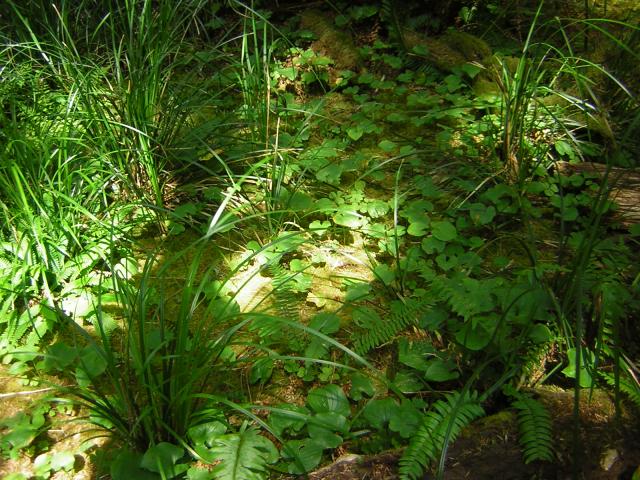 DSCN2414.jpg