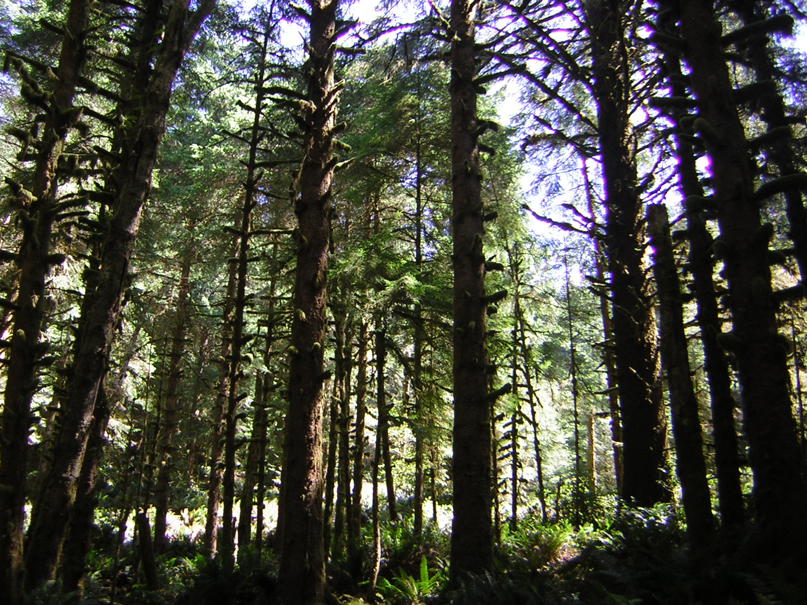 DSCN2415.jpg