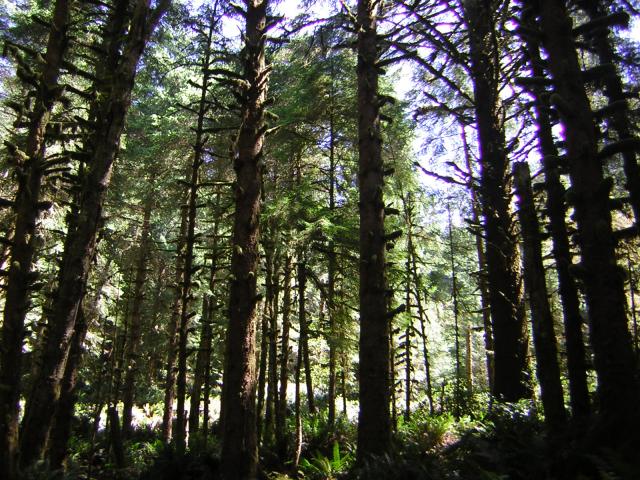 DSCN2415.jpg