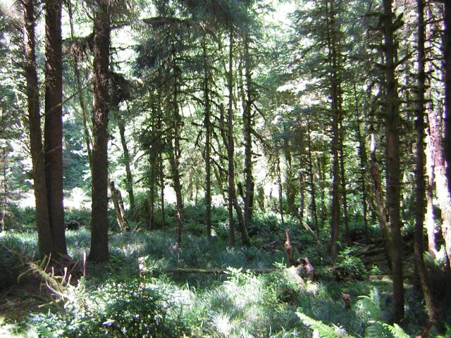 DSCN2416.jpg