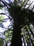 DSCN2417.jpg