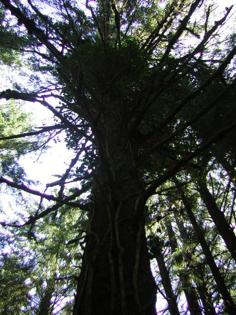 DSCN2417.jpg