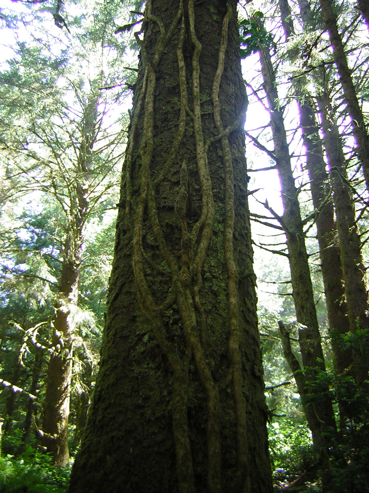 DSCN2418.jpg